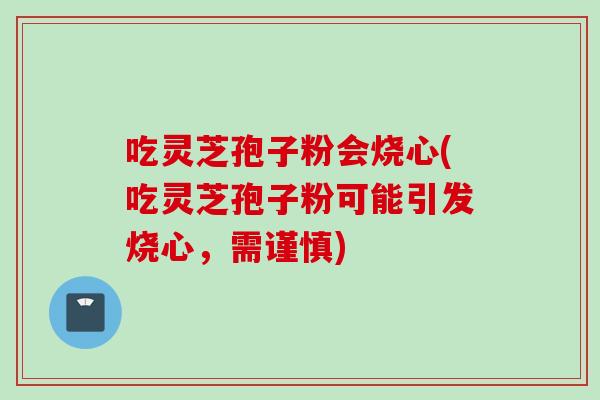 吃灵芝孢子粉会烧心(吃灵芝孢子粉可能引发烧心，需谨慎)