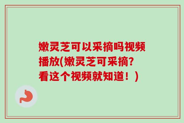 嫩灵芝可以采摘吗视频播放(嫩灵芝可采摘？看这个视频就知道！)
