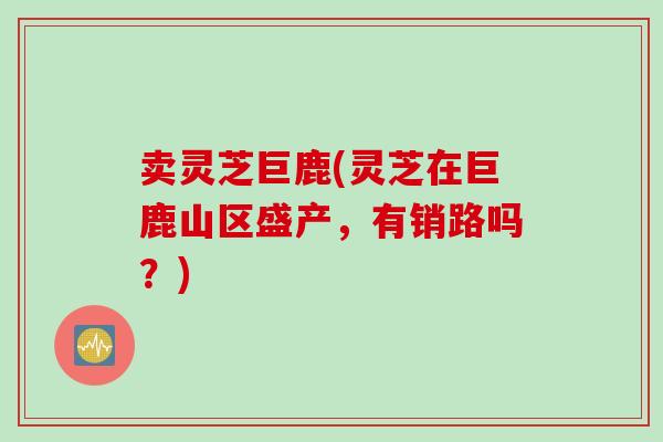 卖灵芝巨鹿(灵芝在巨鹿山区盛产，有销路吗？)