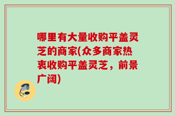 哪里有大量收购平盖灵芝的商家(众多商家热衷收购平盖灵芝，前景广阔)