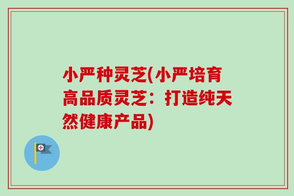 小严种灵芝(小严培育高品质灵芝：打造纯天然健康产品)