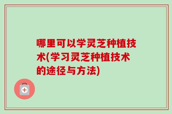哪里可以学灵芝种植技术(学习灵芝种植技术的途径与方法)