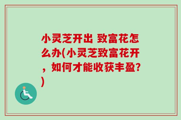 小灵芝开出 致富花怎么办(小灵芝致富花开，如何才能收获丰盈？)