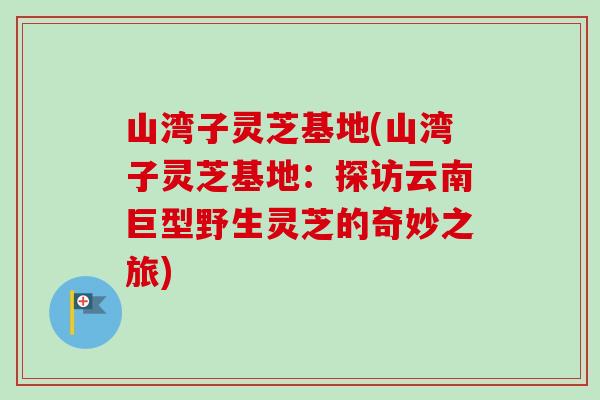 山湾子灵芝基地(山湾子灵芝基地：探访云南巨型野生灵芝的奇妙之旅)