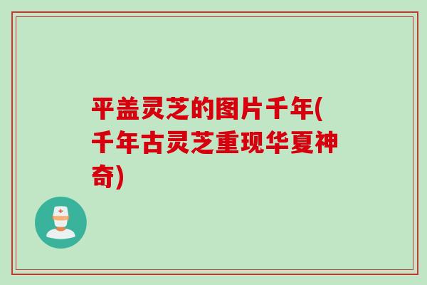 平盖灵芝的图片千年(千年古灵芝重现华夏神奇)
