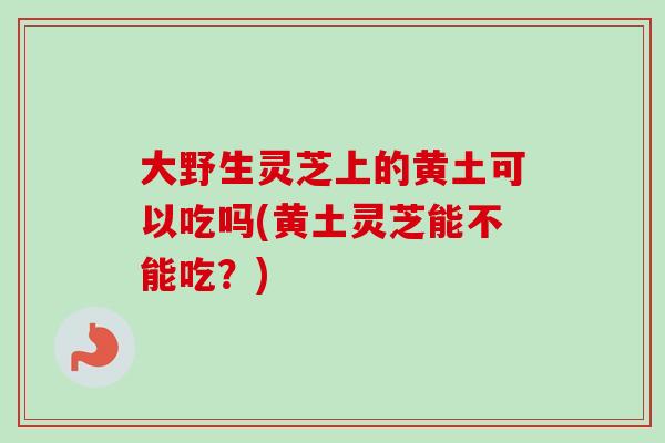 大野生灵芝上的黄土可以吃吗(黄土灵芝能不能吃？)