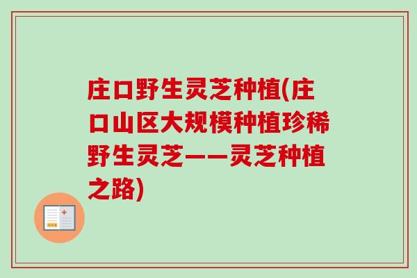 庄口野生灵芝种植(庄口山区大规模种植珍稀野生灵芝——灵芝种植之路)