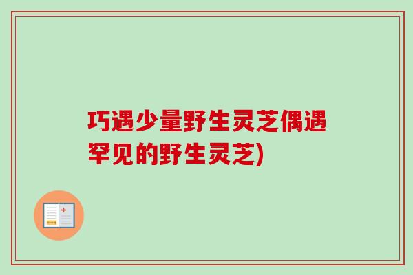 巧遇少量野生灵芝偶遇罕见的野生灵芝) 巧遇少量野生灵芝偶遇罕见的野生灵芝)