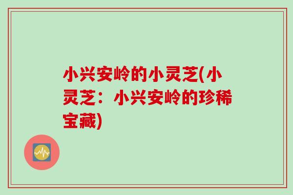 小兴安岭的小灵芝(小灵芝：小兴安岭的珍稀宝藏)