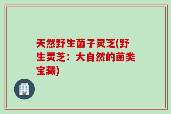 天然野生菌子灵芝(野生灵芝：大自然的菌类宝藏)