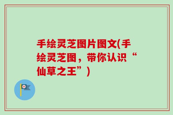 手绘灵芝图片图文(手绘灵芝图，带你认识“仙草之王”)