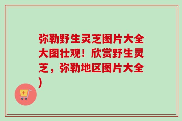 弥勒野生灵芝图片大全大图壮观！欣赏野生灵芝，弥勒地区图片大全)