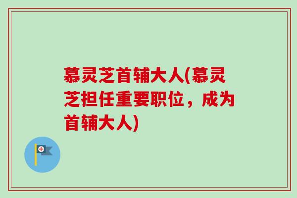 慕灵芝首辅大人(慕灵芝担任重要职位，成为首辅大人)