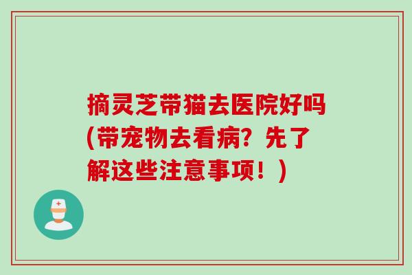 摘灵芝带猫去医院好吗(带宠物去看病？先了解这些注意事项！)