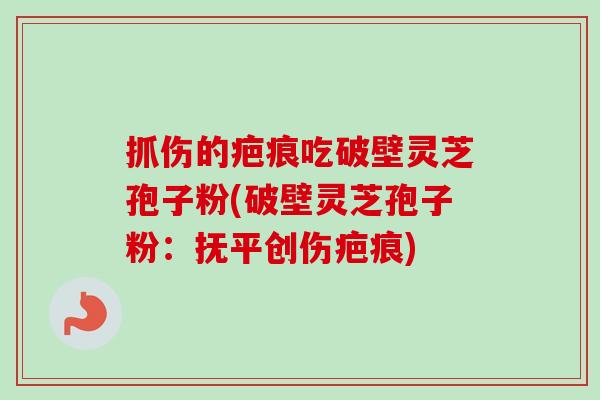 抓伤的疤痕吃破壁灵芝孢子粉(破壁灵芝孢子粉：抚平创伤疤痕)