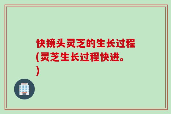 快镜头灵芝的生长过程(灵芝生长过程快进。)