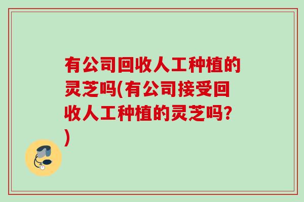 有公司回收人工种植的灵芝吗(有公司接受回收人工种植的灵芝吗？)