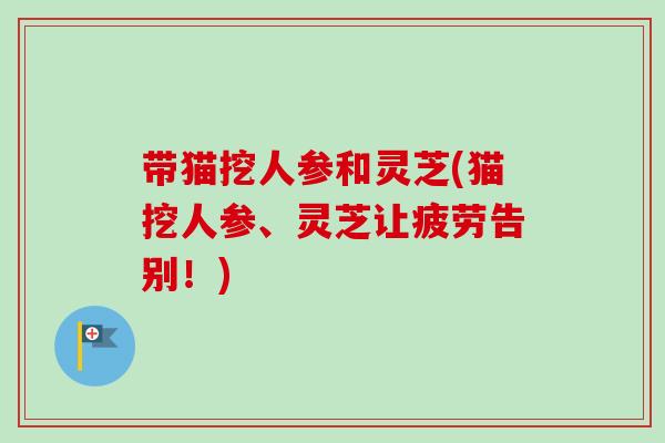 带猫挖人参和灵芝(猫挖人参、灵芝让疲劳告别！)