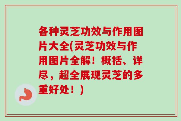 各种灵芝功效与作用图片大全(灵芝功效与作用图片全解！概括、详尽，超全展现灵芝的多重好处！)