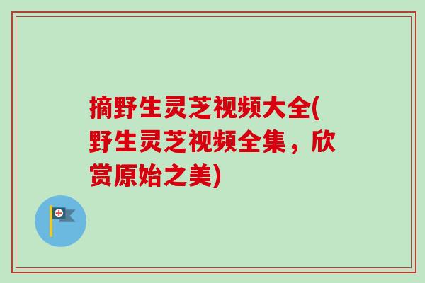 摘野生灵芝视频大全(野生灵芝视频全集，欣赏原始之美)
