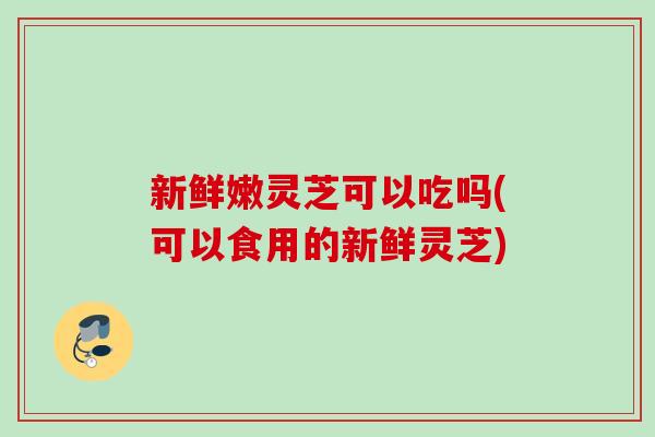 新鲜嫩灵芝可以吃吗(可以食用的新鲜灵芝)