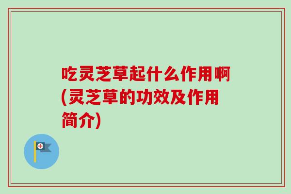 吃灵芝草起什么作用啊(灵芝草的功效及作用简介)