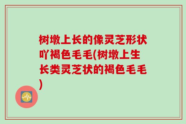 树墩上长的像灵芝形状吖褐色毛毛(树墩上生长类灵芝状的褐色毛毛)