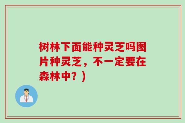 树林下面能种灵芝吗图片种灵芝，不一定要在森林中？)