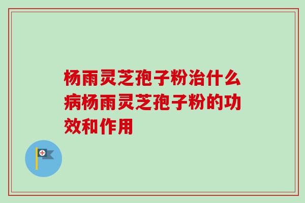 杨雨灵芝孢子粉治什么病杨雨灵芝孢子粉的功效和作用
