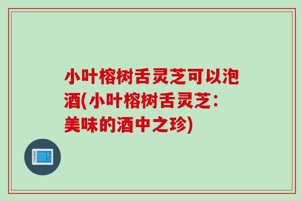 小叶榕树舌灵芝可以泡酒(小叶榕树舌灵芝：美味的酒中之珍)