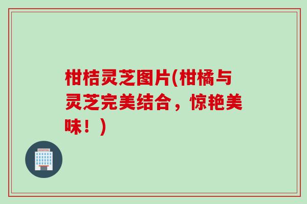 柑桔灵芝图片(柑橘与灵芝完美结合，惊艳美味！)