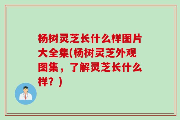 杨树灵芝长什么样图片大全集(杨树灵芝外观图集，了解灵芝长什么样？)