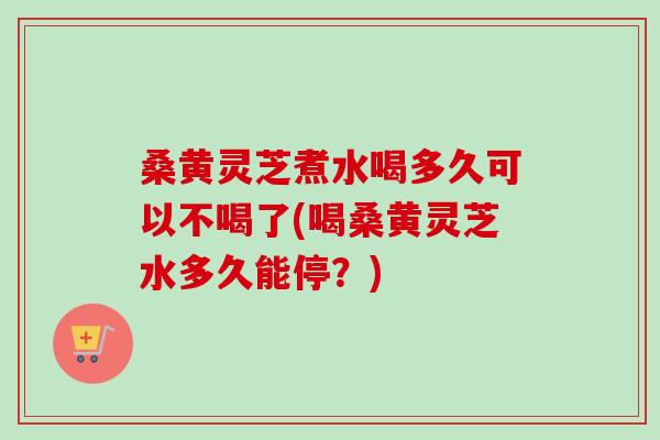 桑黄灵芝煮水喝多久可以不喝了(喝桑黄灵芝水多久能停？)