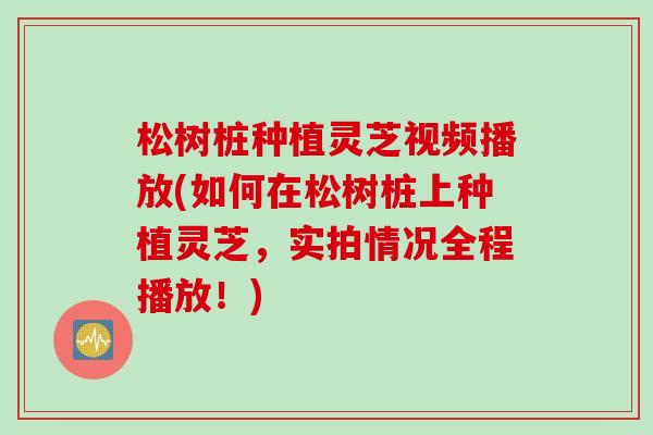 松树桩种植灵芝视频播放(如何在松树桩上种植灵芝，实拍情况全程播放！)