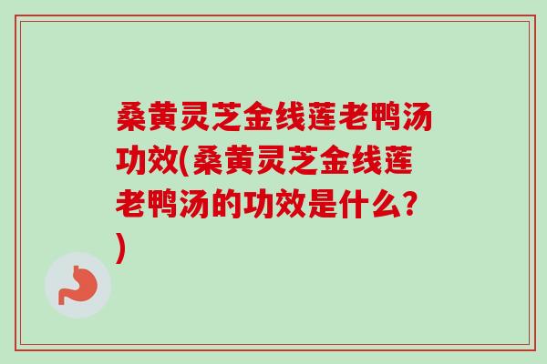 桑黄灵芝金线莲老鸭汤功效(桑黄灵芝金线莲老鸭汤的功效是什么？)