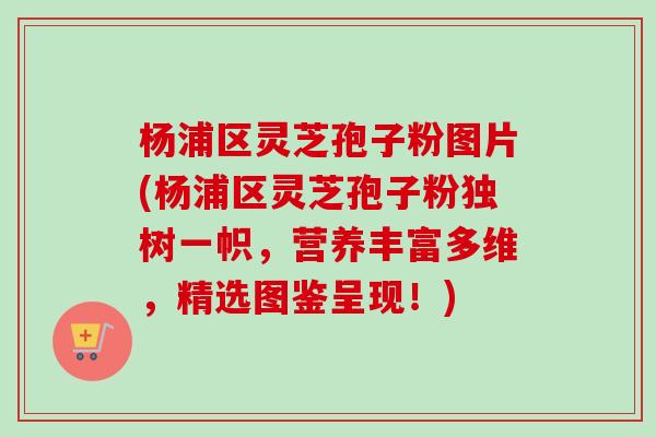 杨浦区灵芝孢子粉图片(杨浦区灵芝孢子粉独树一帜，营养丰富多维，精选图鉴呈现！)