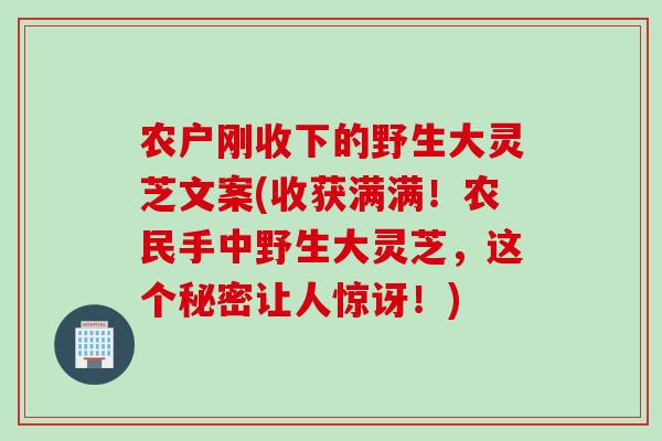 农户刚收下的野生大灵芝文案(收获满满！农民手中野生大灵芝，这个秘密让人惊讶！)