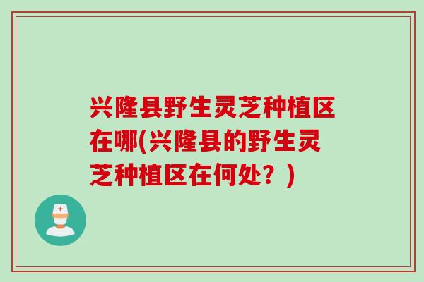 兴隆县野生灵芝种植区在哪(兴隆县的野生灵芝种植区在何处？)