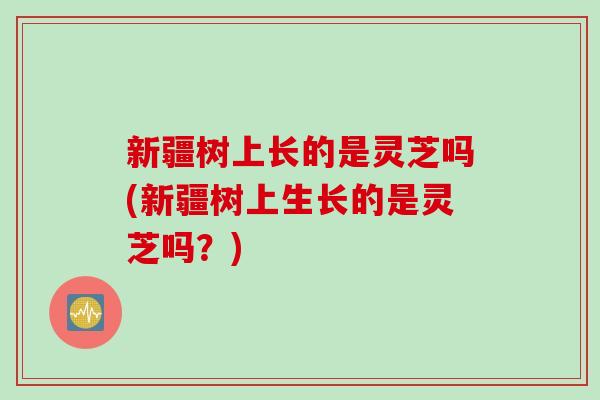 新疆树上长的是灵芝吗(新疆树上生长的是灵芝吗？)