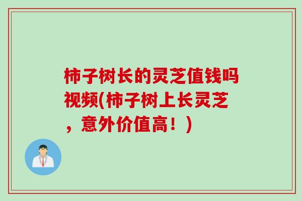 柿子树长的灵芝值钱吗视频(柿子树上长灵芝,意外价值高!) 柿子树长的灵芝值钱吗视频(柿子树上长灵芝,意外价值高!)