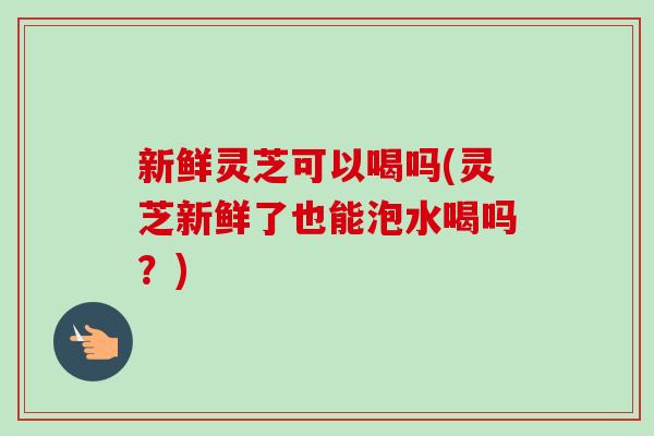 新鲜灵芝可以喝吗(灵芝新鲜了也能泡水喝吗？)