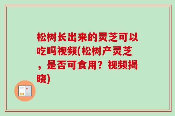 松树长出来的灵芝可以吃吗视频(松树产灵芝，是否可食用？视频揭晓)