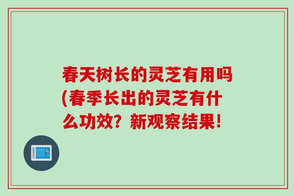 春天树长的灵芝有用吗(春季长出的灵芝有什么功效？新观察结果!