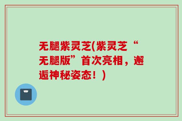 无腿紫灵芝(紫灵芝“无腿版”首次亮相，邂逅神秘姿态！)