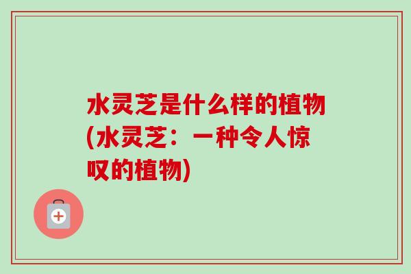 水灵芝是什么样的植物(水灵芝：一种令人惊叹的植物)