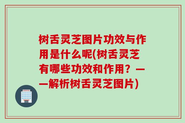 树舌灵芝图片功效与作用是什么呢(树舌灵芝有哪些功效和作用？——解析树舌灵芝图片)