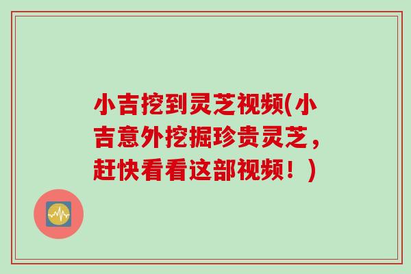 小吉挖到灵芝视频(小吉意外挖掘珍贵灵芝，赶快看看这部视频！)