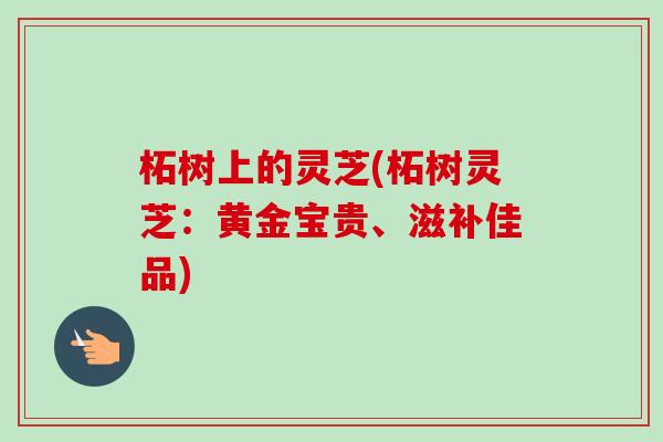 柘树上的灵芝(柘树灵芝:黄金宝贵、滋补佳品)