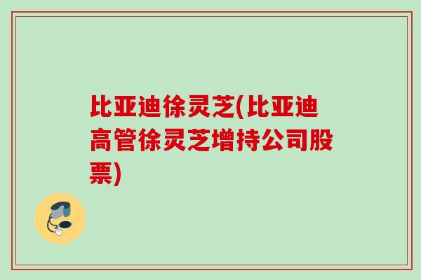 比亚迪徐灵芝(比亚迪高管徐灵芝增持公司股票)