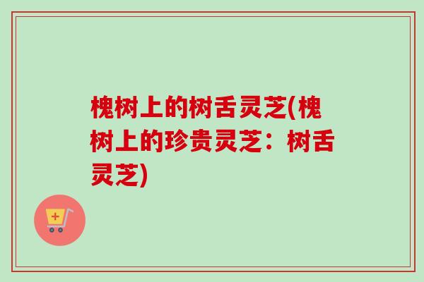 槐树上的树舌灵芝(槐树上的珍贵灵芝：树舌灵芝)